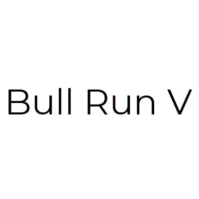 Bull Run V