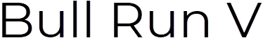 Bull Run V logo