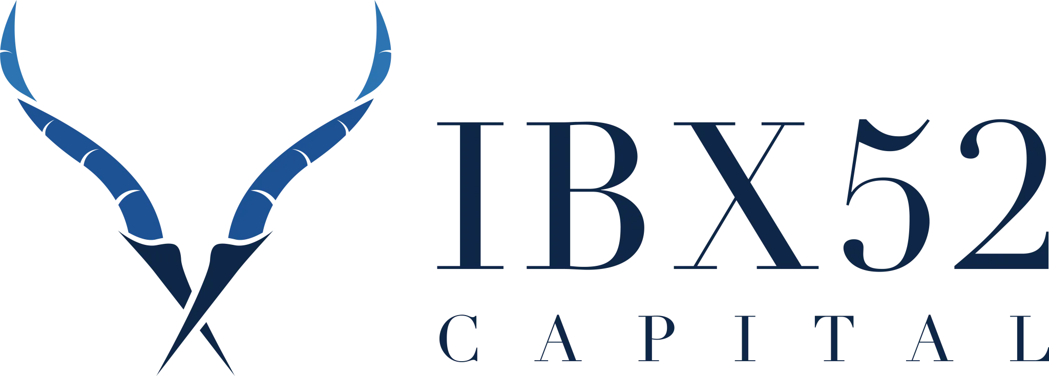 IBX52 Capital Fund I logo